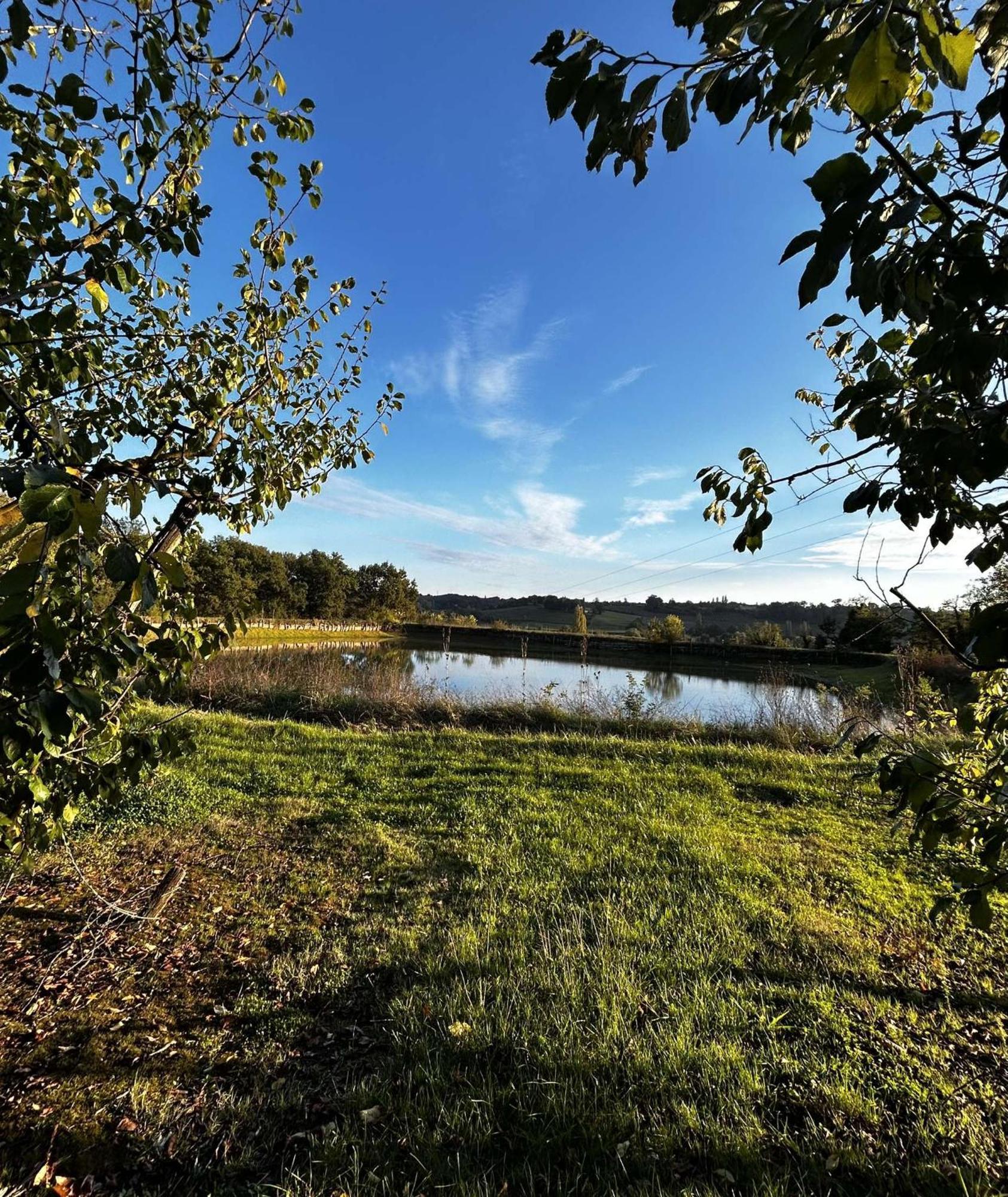 Gite La Garrigue Montbarla Exterior photo